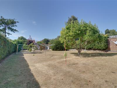 Picture 13